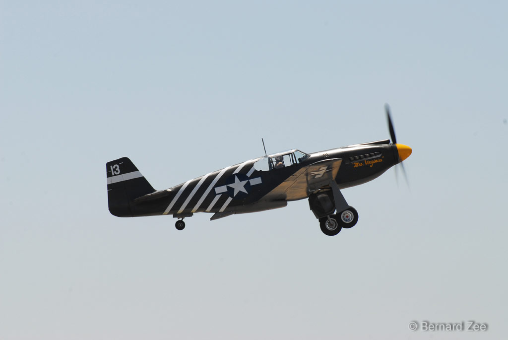 DSZ_6694